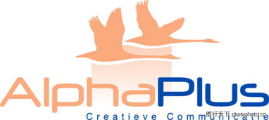 全球广告设计公司矢量标志0065 飞鸟元素与创意设计的完美融合